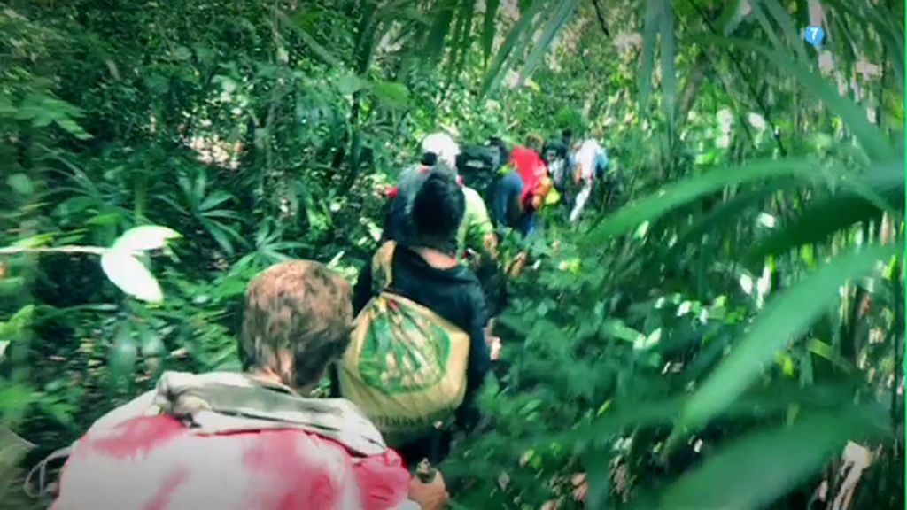 Un programa que “no te mata, te hace más fuerte”