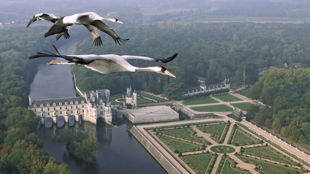 El Planeta, a vista de pájaro