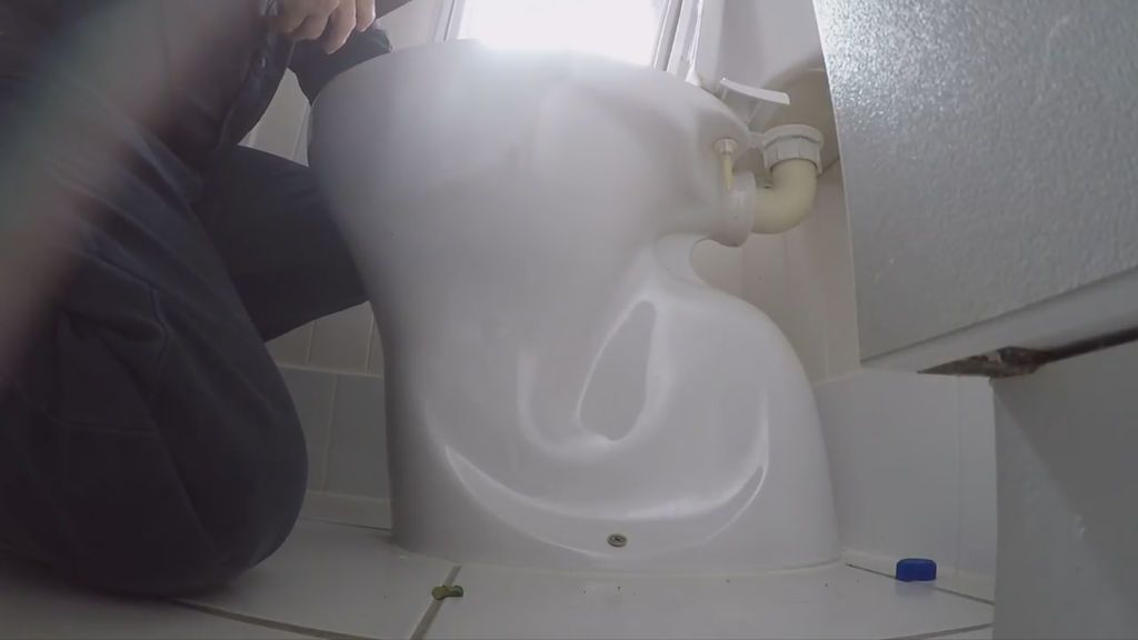 No volverás a tener tranquilidad en el baño tras ver lo que encontraron en este retrete