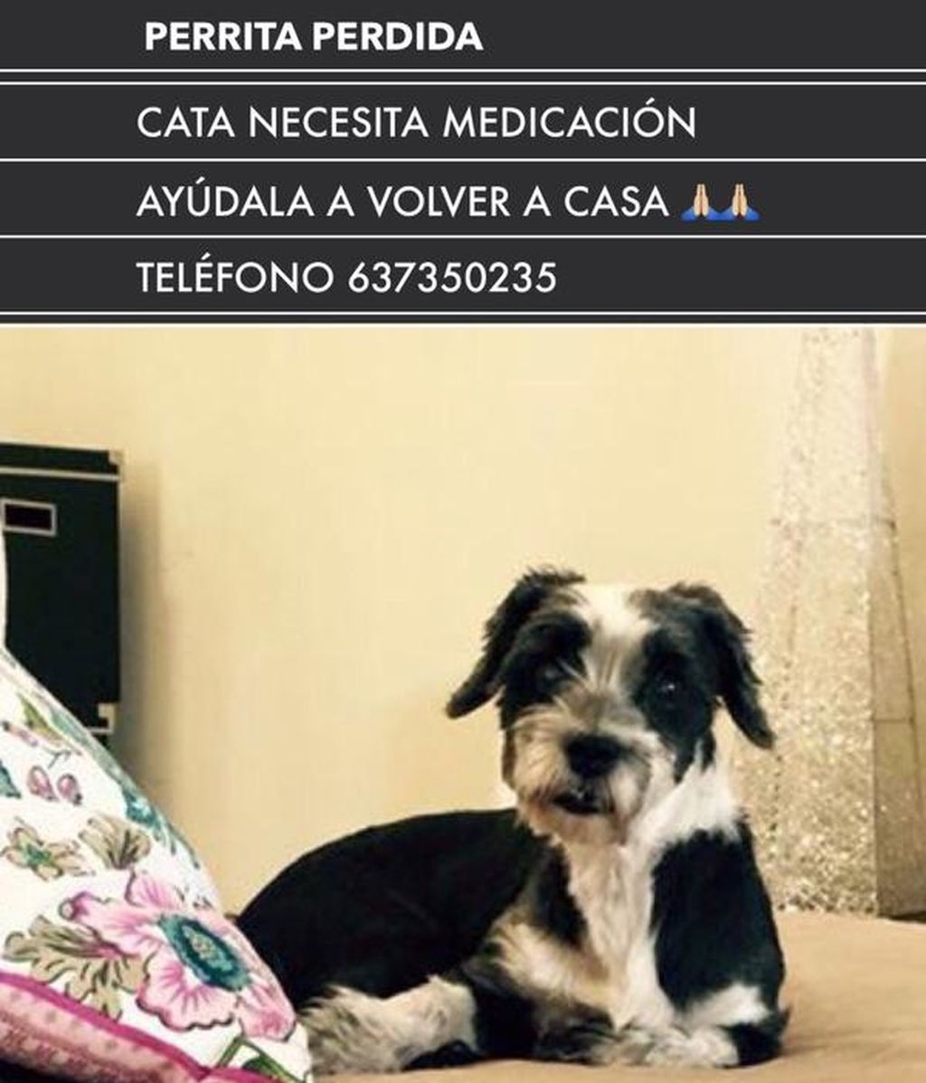 Cata