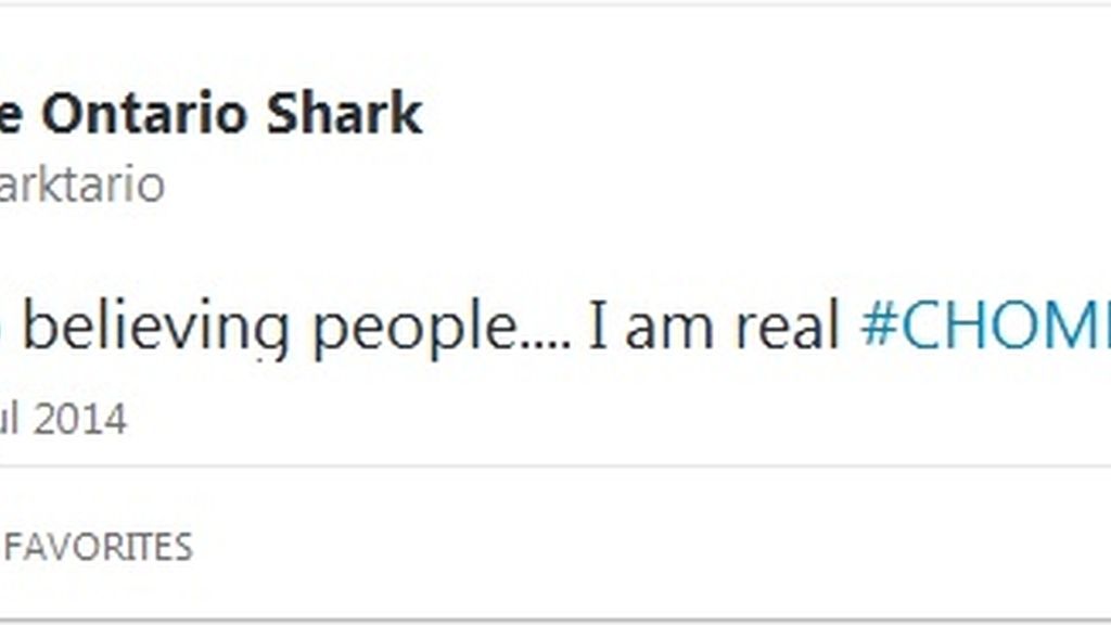 Twitter tiburón toro