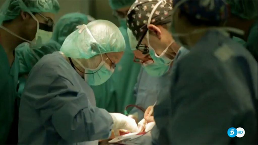 Mediaset celebra los 100.000 trasplantes realizados por la ONT