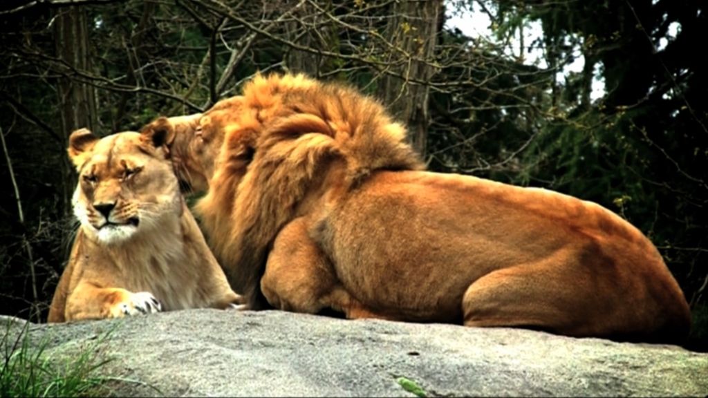 Ellos saben que el amor no puede hacer daño, ¿y tú? Crece en igualdad.