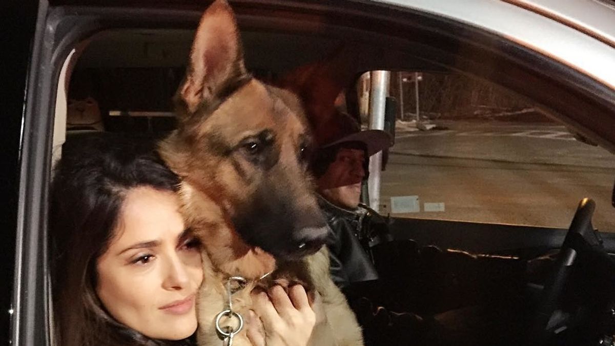 Salma Hayek y su perro