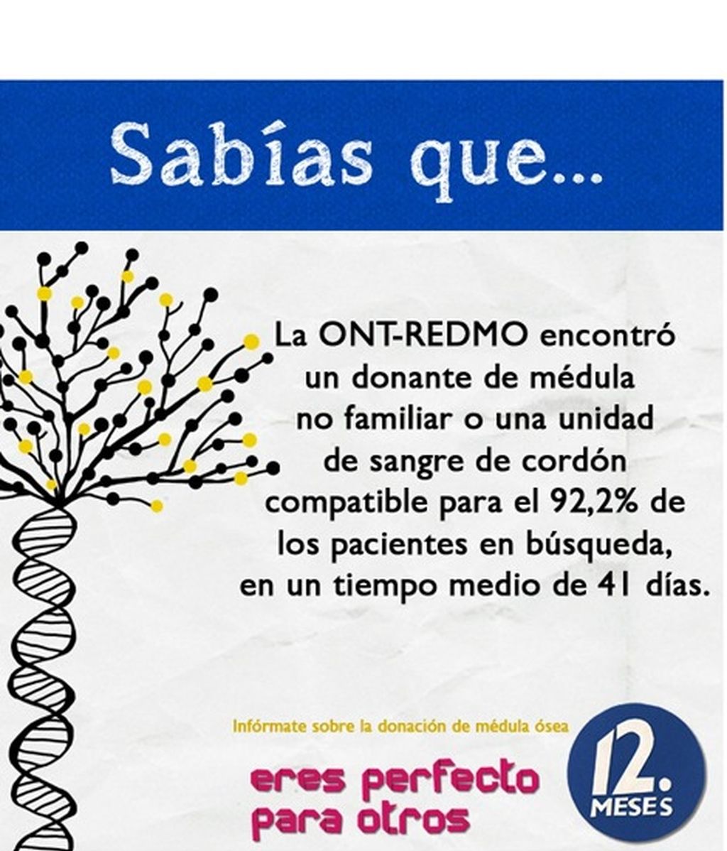 El REDMO, la donación, el trasplante... Infórmate.