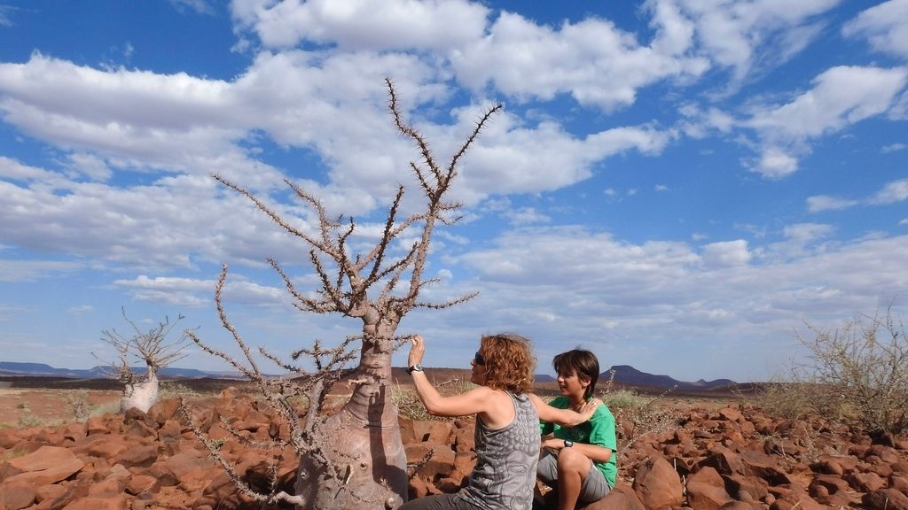 'Espíritu salvaje', en Cuatro