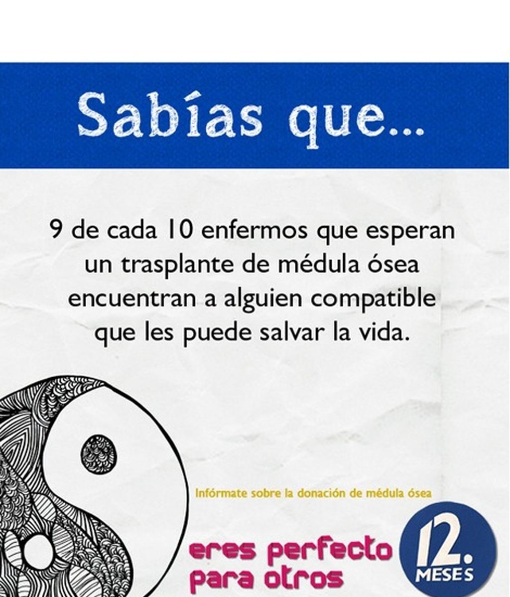 El REDMO, la donación, el trasplante... Infórmate.