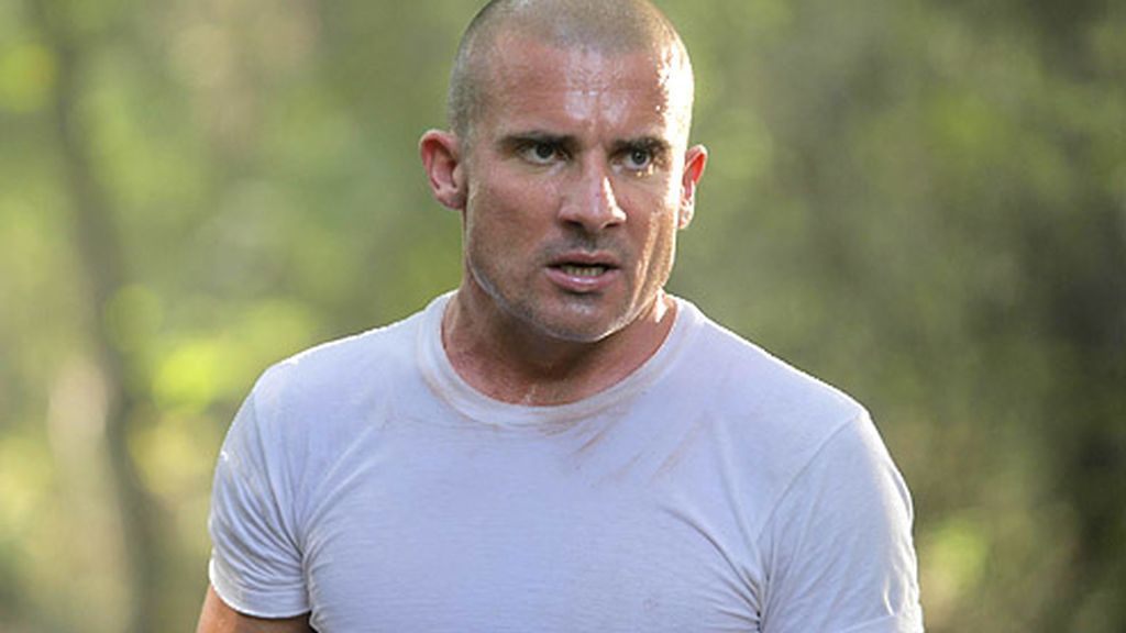 dominic purcell prison break