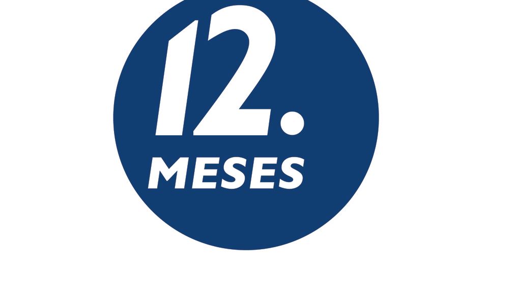 12 meses logo