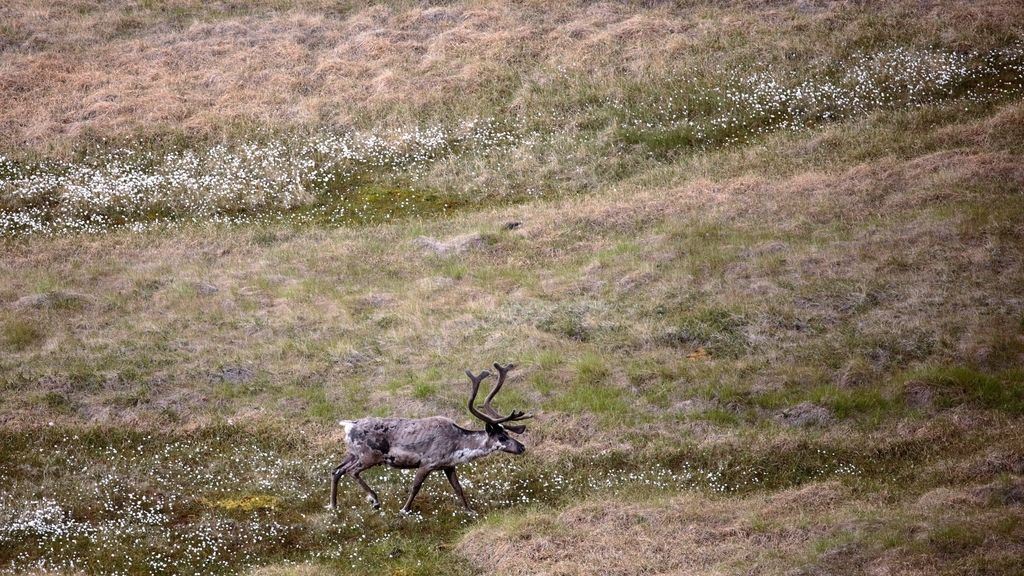 La familia Canela-Margarit en la última entrega de 'Espíritu salvaje'