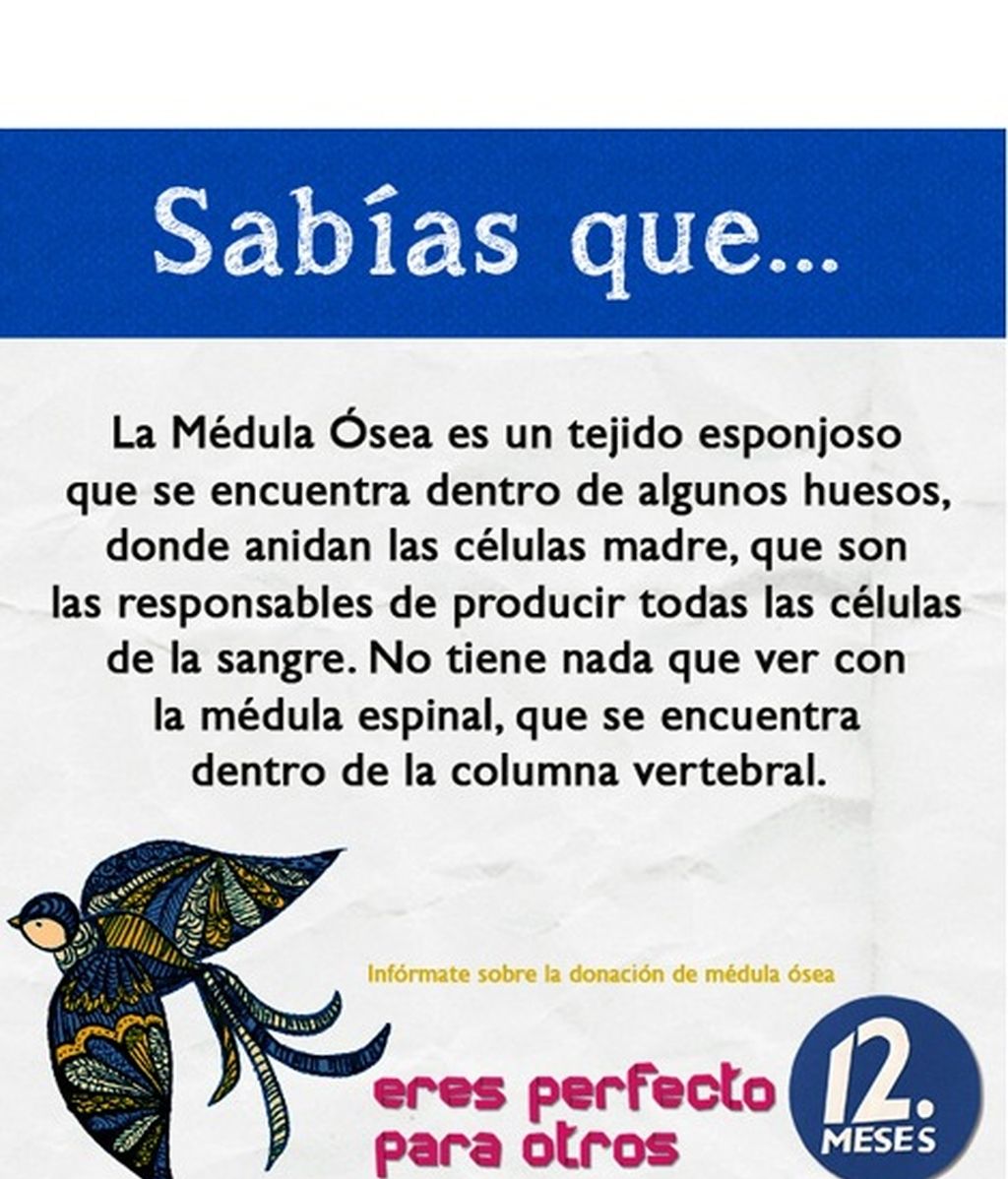 El REDMO, la donación, el trasplante... Infórmate.