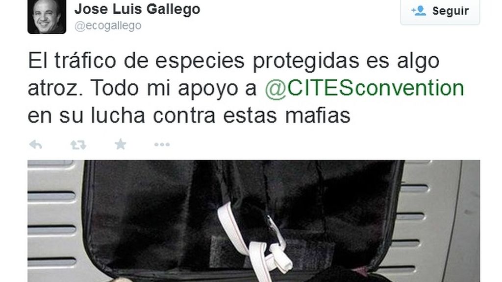 Tweet