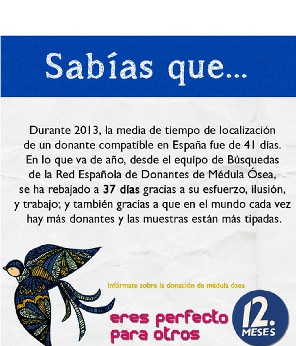 El REDMO, la donación, el trasplante... Infórmate.