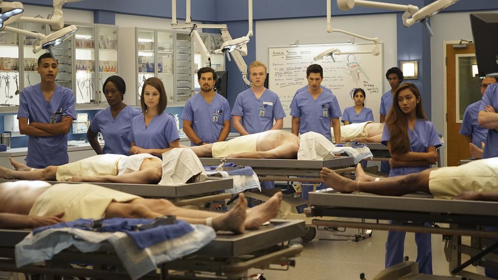 ANATOMIA DE GREY T12