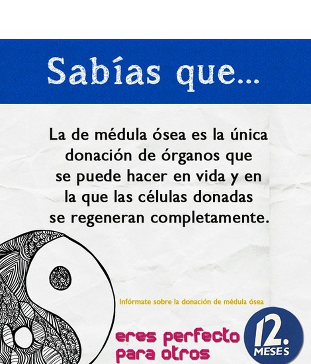 El REDMO, la donación, el trasplante... Infórmate.