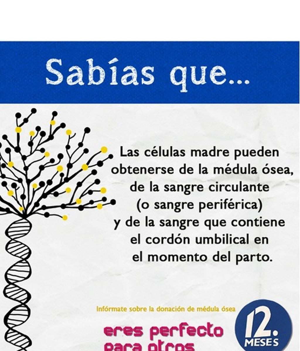 El REDMO, la donación, el trasplante... Infórmate.