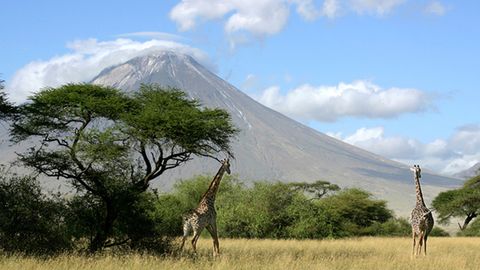 Africa El Continente De Los Mil Paisajes