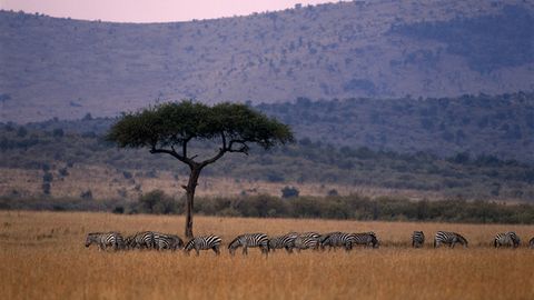 Africa El Continente De Los Mil Paisajes