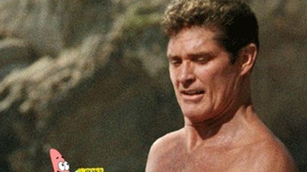 David Hasselhoff es uno de los famosos que participan en la película