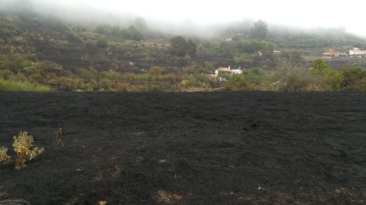 Estabilizado el incendio que afecta a la cumbre de Gran Canaria