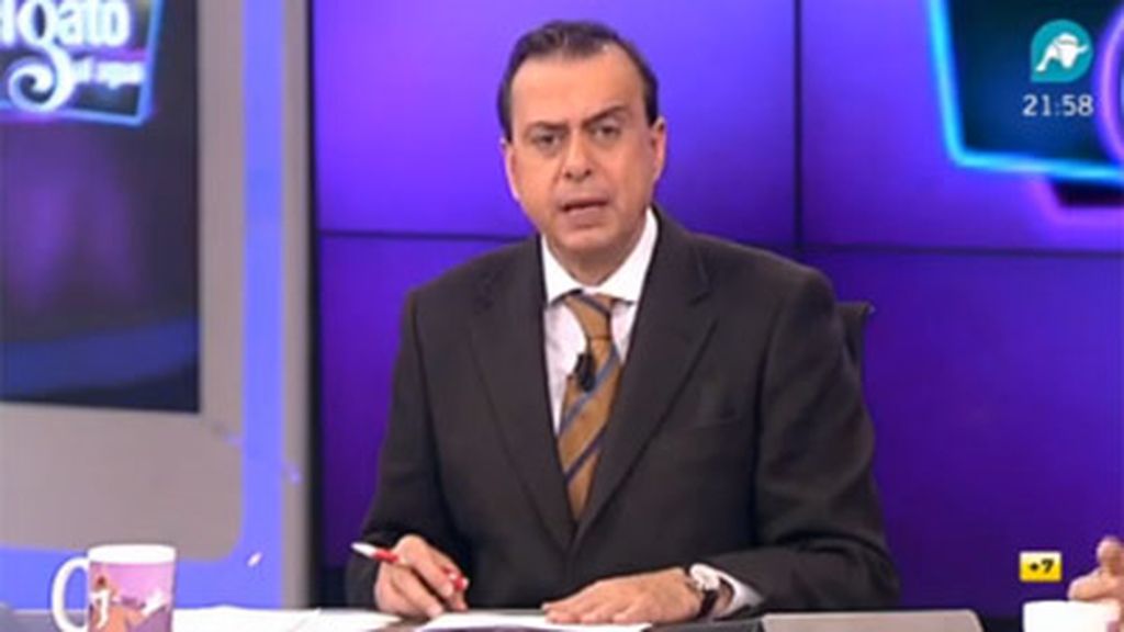 Gato al agua