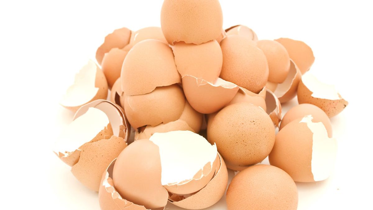 Cinco usos de la cáscara de huevo