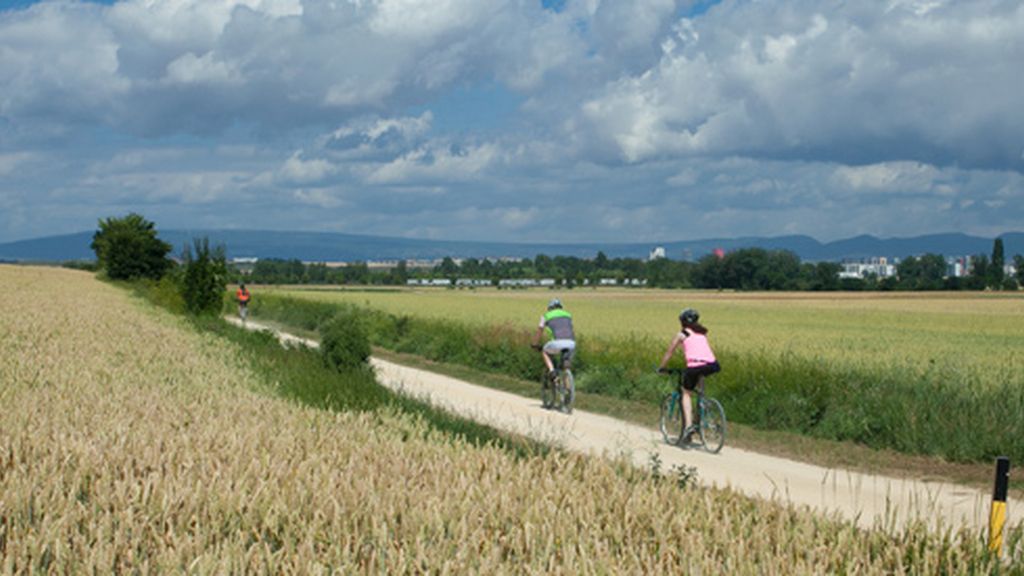 camino