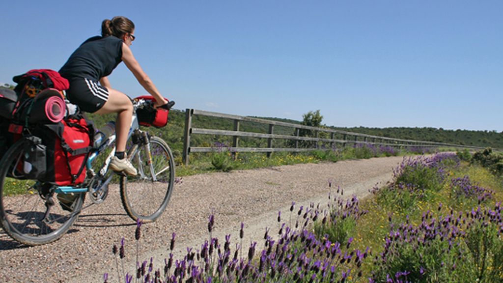 Lavanda