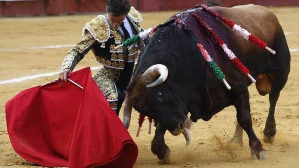 Toros TVE