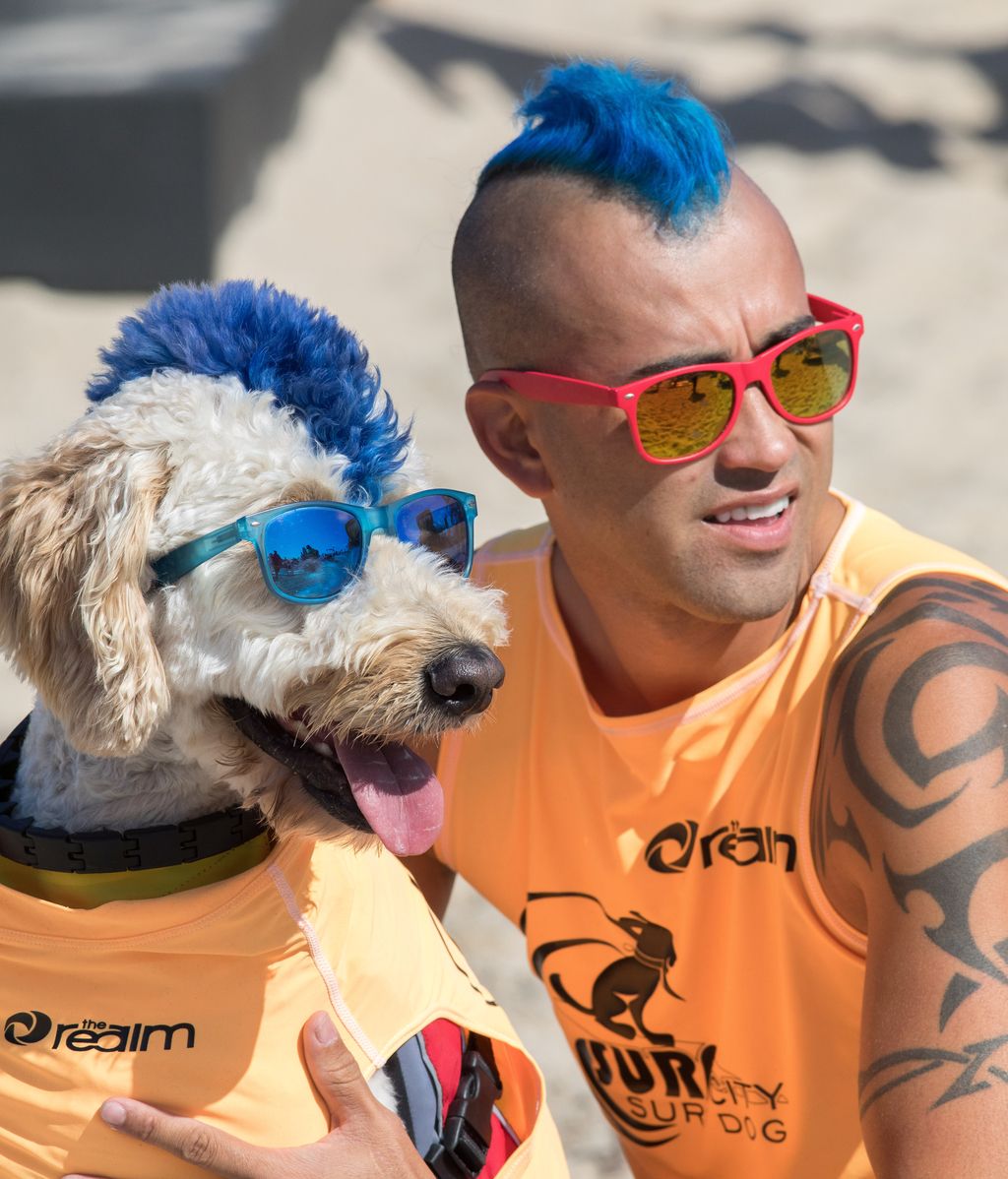 Aficionado al skate y con experiencia de un solo año: así es Dudeman, el ganador del campeonato de surf de perros