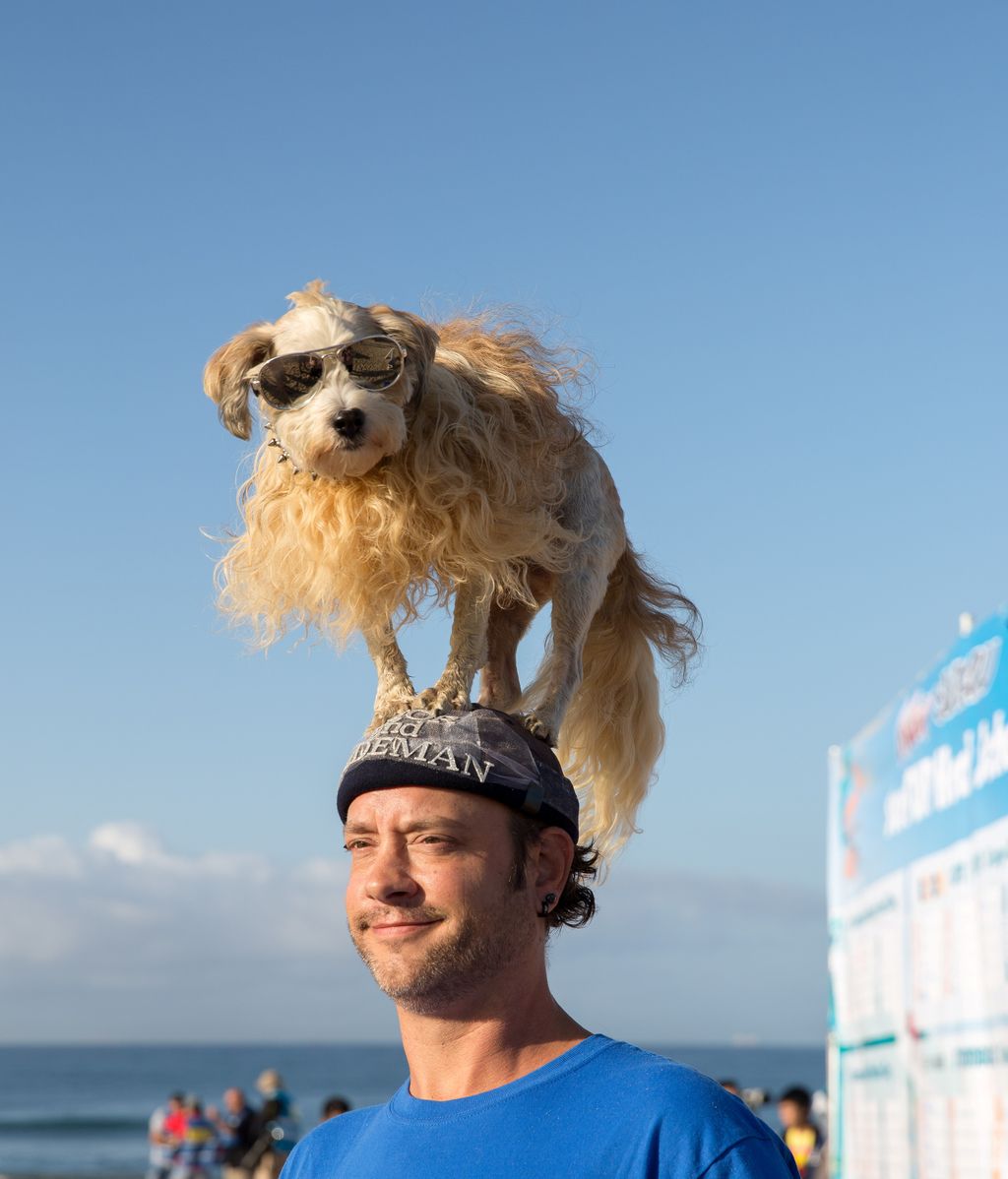 Aficionado al skate y con experiencia de un solo año: así es Dudeman, el ganador del campeonato de surf de perros