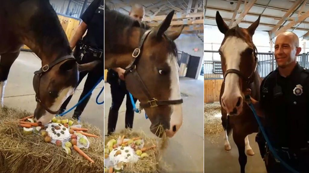 Policías dan una ‘fiesta de despedida’ a un caballo que dejará de patrullar con el cuerpo