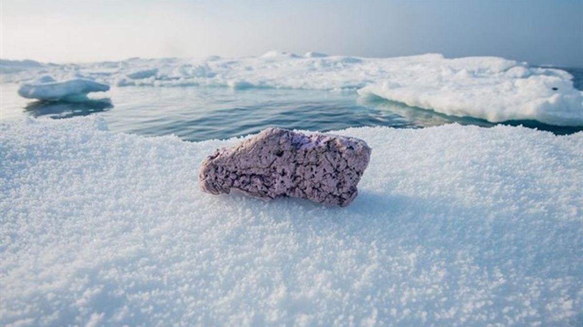 Residuos plásticos aparecen sobre el hielo cerca del Polo Norte