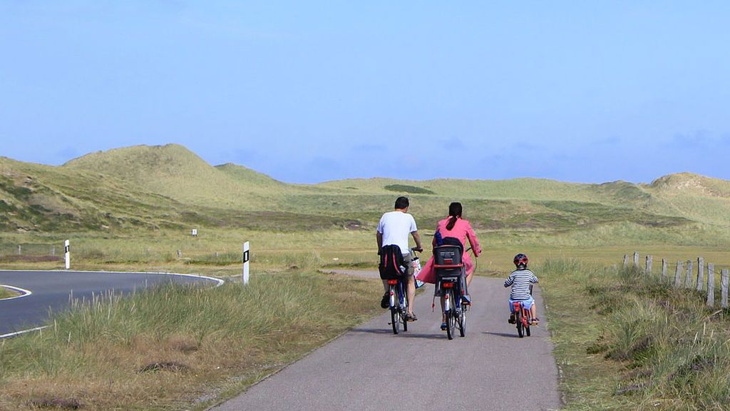 ¡A mi hijo no le gusta el deporte! Cinco ideas para convertir actividades cotidianas en ejercicio en familia