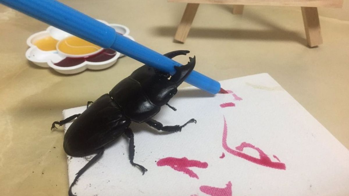 Spike, el escarabajo que gana adeptos en las redes sociales por sus cuadros