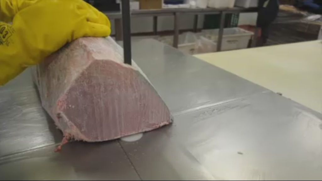 El fraude del atún rojo afecta a miles de toneladas del producto