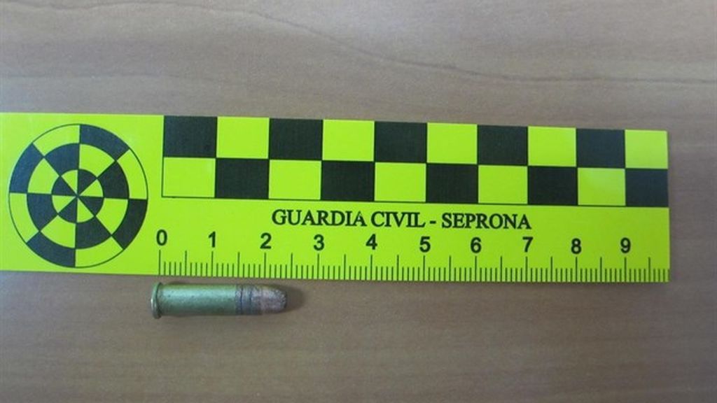 Investigan a un vecino de Granada por matar, supuestamente, a la gata de su vecina de un disparo Investigan a un vecino de Granada por matar, supuestamente, a la gata de su vecina de un disparo