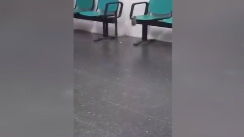 Una rata pasea a sus anchas en el Hospital de La Línea de Cádiz