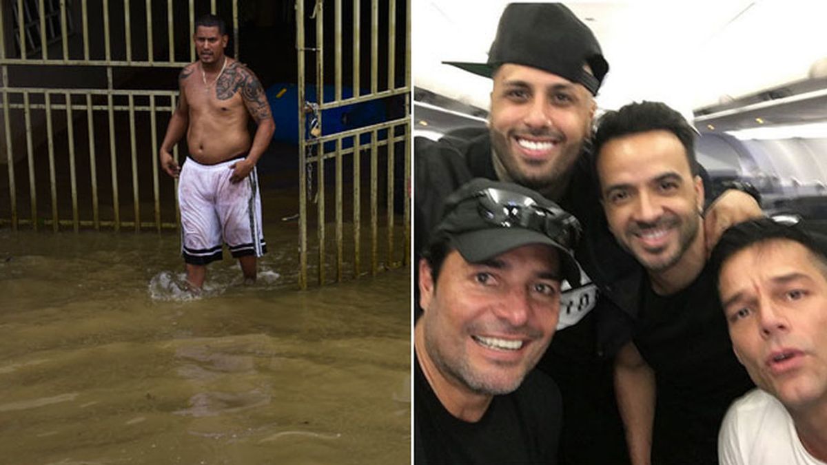 Ricky Martin, Chayanne, Fonsi y Nicky Jam, juntos por Puerto Rico: ya llegan con agua y alimentos