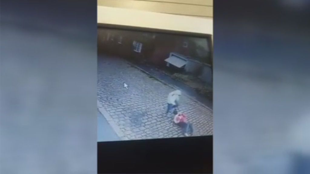 Un joven propina una brutal paliza a una anciana para robarle el bolso