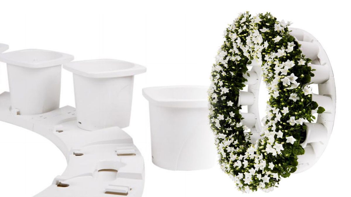 Coronas 'eco' para funerales: plantas que no se marchitan (y puedes llevarte a casa)