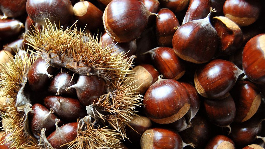 Las castañas saben a otoño