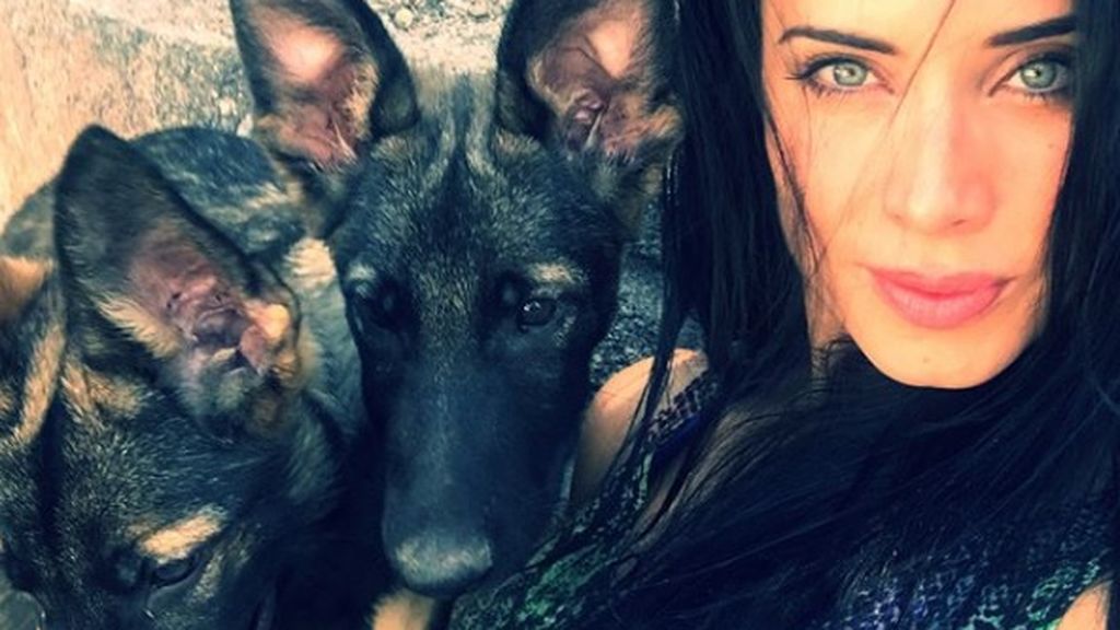 pilar rubio cachorros