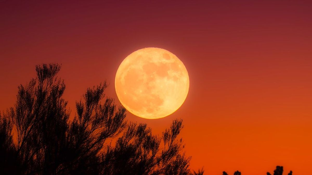 Roja, grande y brillante: llega la gran luna llena de otoño