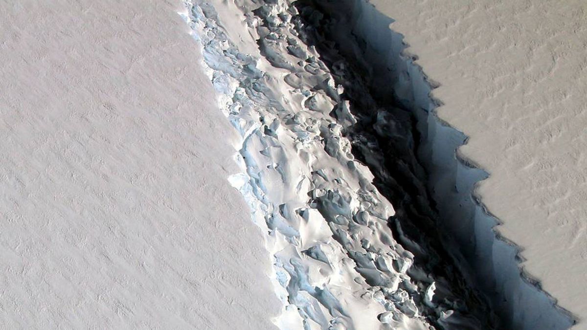 La ruptura de un gran iceberg en la Antártida desvela un ecosistema oculto