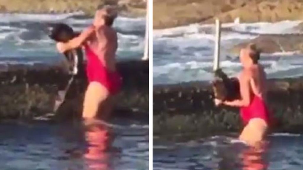 Cómo salvar a una cría de tiburón despistado