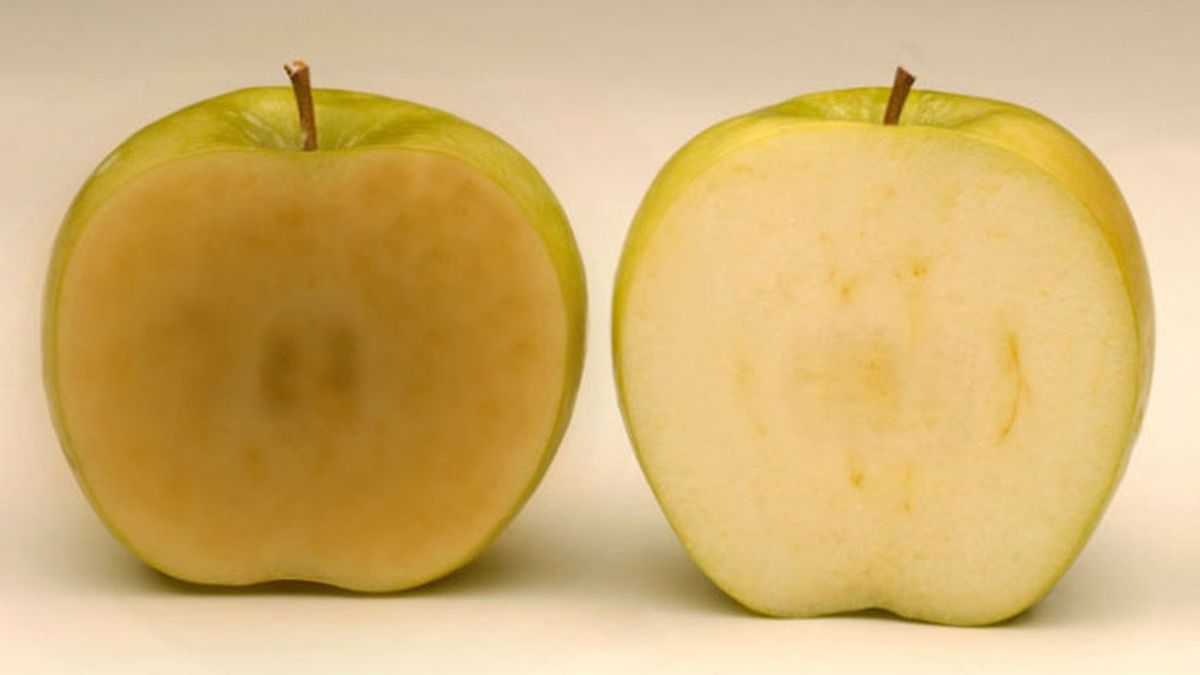 Embolsada y troceada: este otoño podrás comprar la manzana que no se oxida