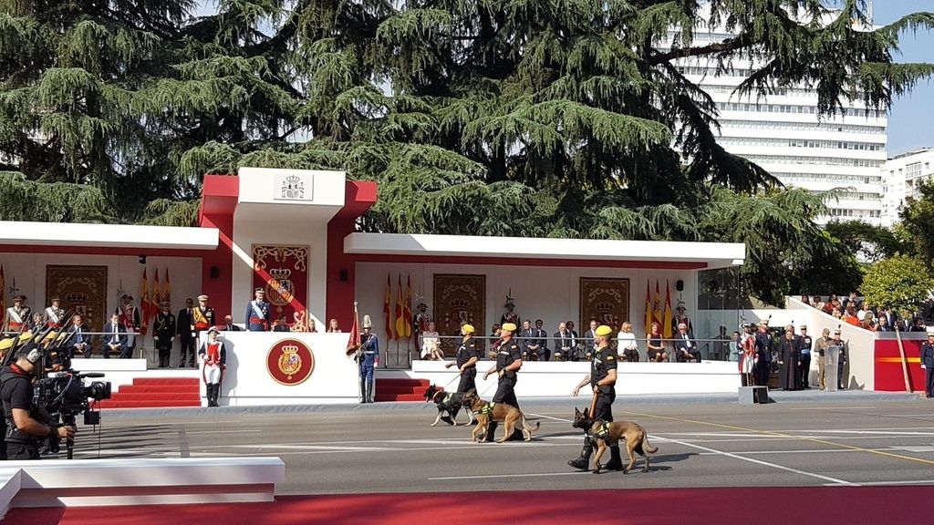Las imágenes que no has visto del desfile de la Fiesta Nacional