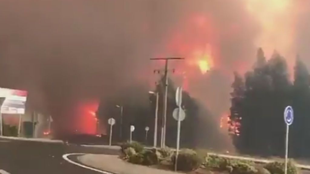 La Guardia Civil, en Twitter: "#ArdeGalicia y el silencio es cómplice de los que la queman"