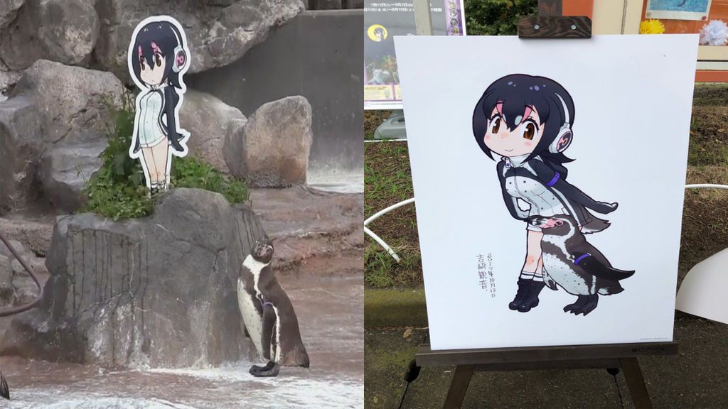 Muere Grape-kun, el pingüino  famoso por estar enamorado de  un recorte de cartón